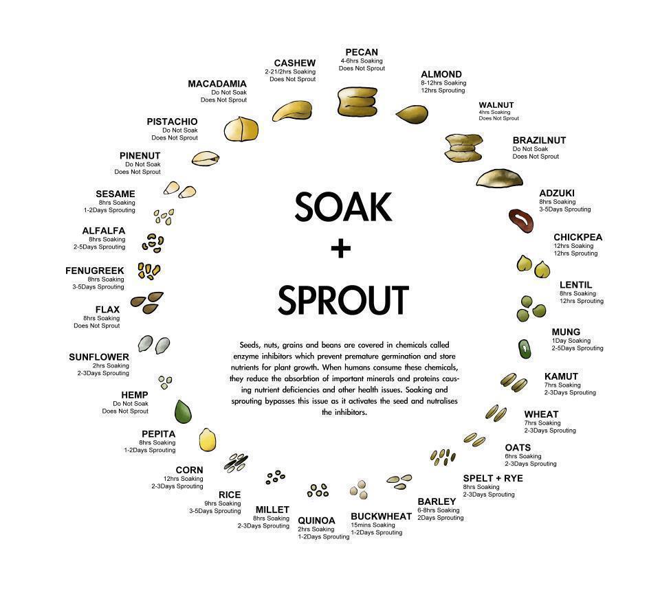 Soak and sprout chart