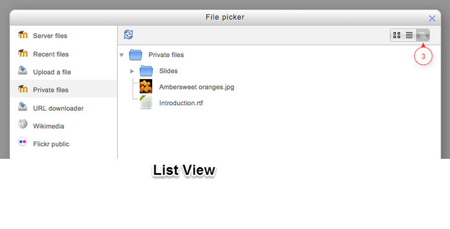 Figure 6-11 Viewing files as list