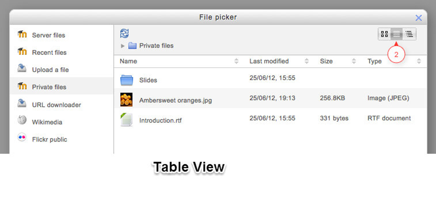 Figure 6-10 Viewing files as table