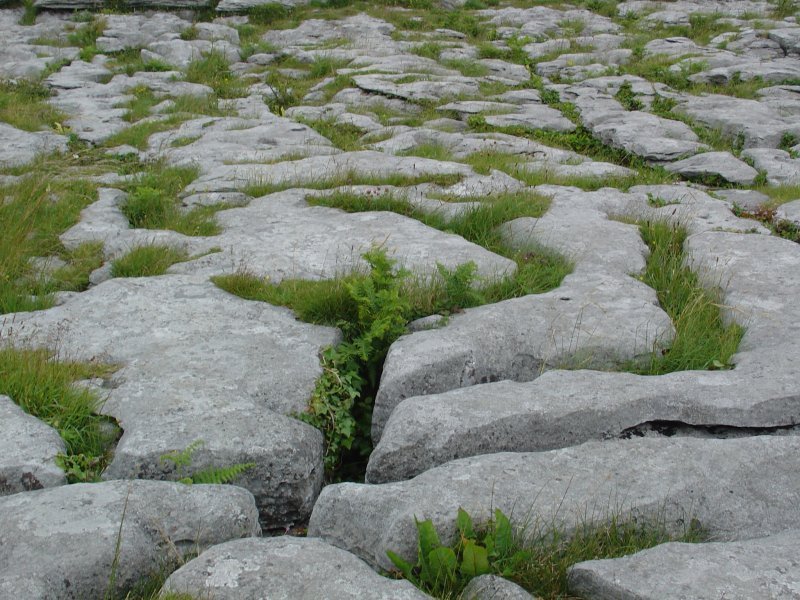 Karstformationen des Burren