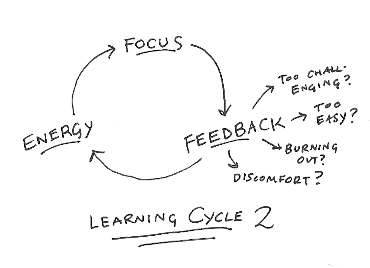 Learning Flow 2: Feedback