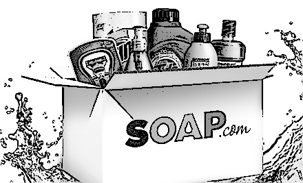 Figure 1.28: PA/OS sold at SOAP.com (© 2015 Quidsi, Inc.)