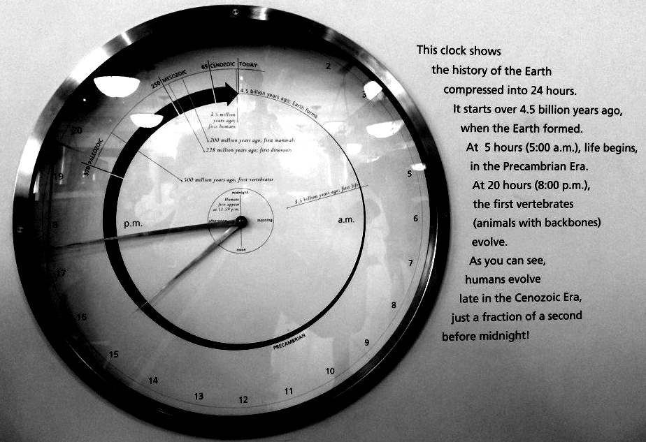 Figure 3.6: Universal Earth Clock at Museum of Natural History, NYC (Photo Credit: BGS)