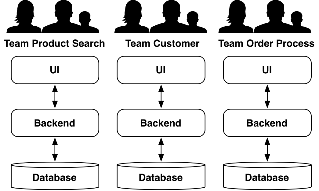 Fig. 3: Team setup by functionalities
