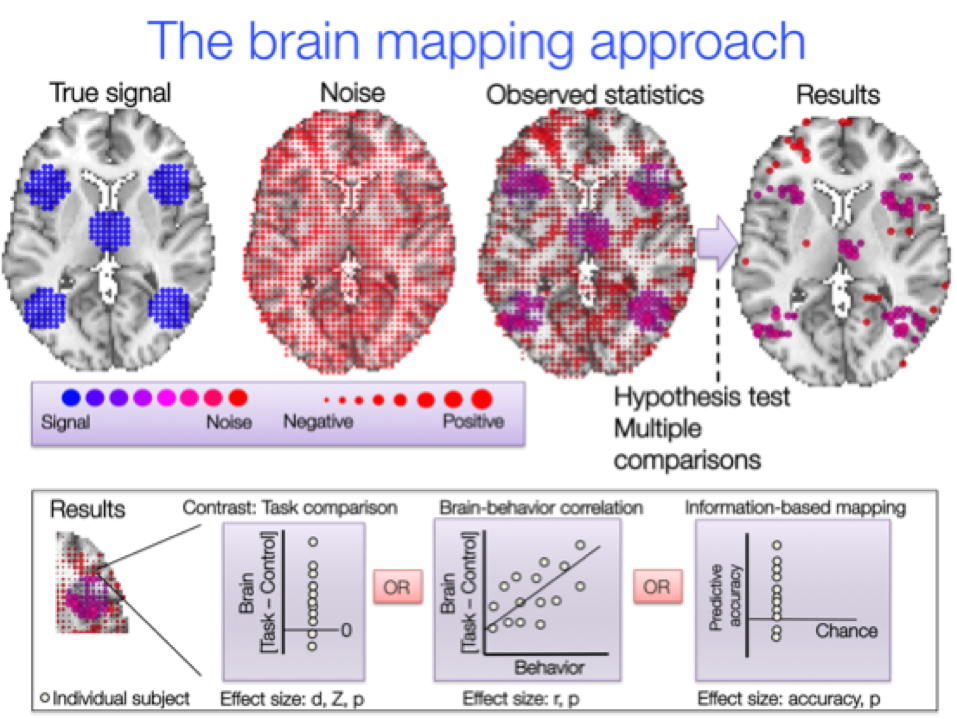 Figure 4.4. (Top) A single slice of the brain contains some areas with a true effect, shown in blue.  We observe a mixture of the true effects (signal) plus random noise, in red here. Statistical test are used to infer which voxels show true effects. (Bottom) Three common data types that go into such maps: task-related group analyses that compare a task of interest to a control task; brain-behavior correlations; and the average accuracy in predicting a stimulus category or behavior from each voxel's local multivariate patterns of brain activity.