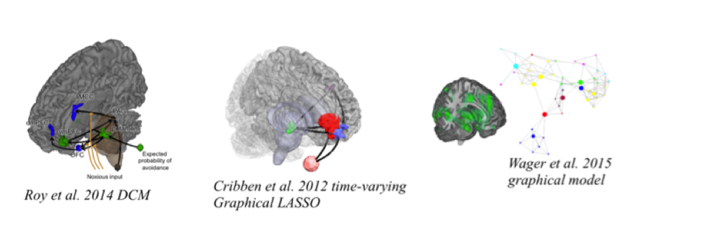 Figure 4.3. Maps illustrating three different kinds of brain connectivity.