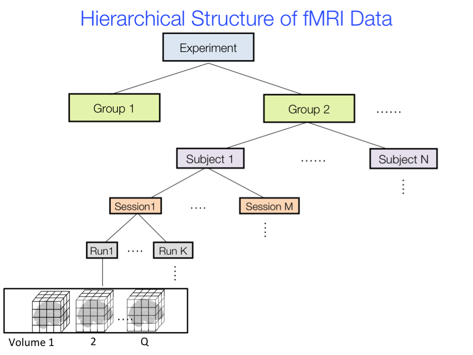 Figure 7.8. An illustration of the hierarchical structure of fMRI data.
