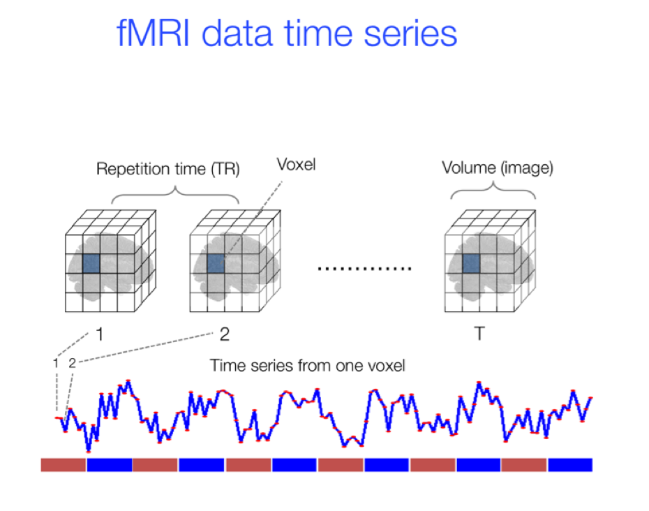 Figure 7.6. fMRI dataset consists of a time series of 3-D images, or `volumes', measured at every TR.