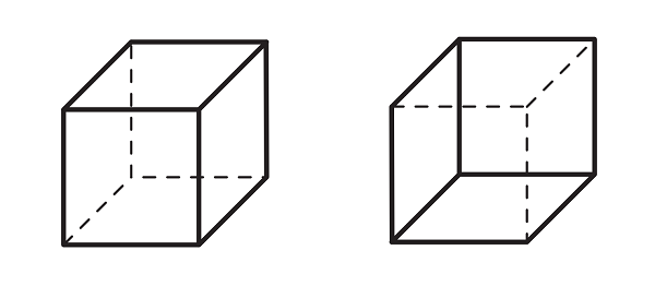 Figure PU.NC.2: Two ways to see the Necker cube