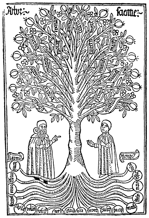 A semantic tree, http://wikipedia.org