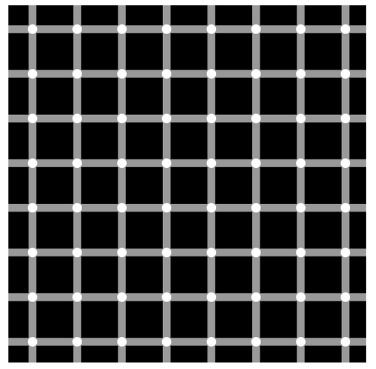 Figure VM.PDA.OI.1: Scintillating grid, http://wikipedia.org