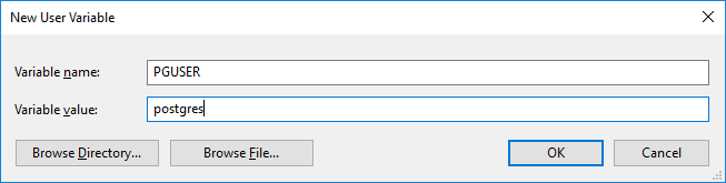 Figure A-9: Setting the PGUSER environment variable.