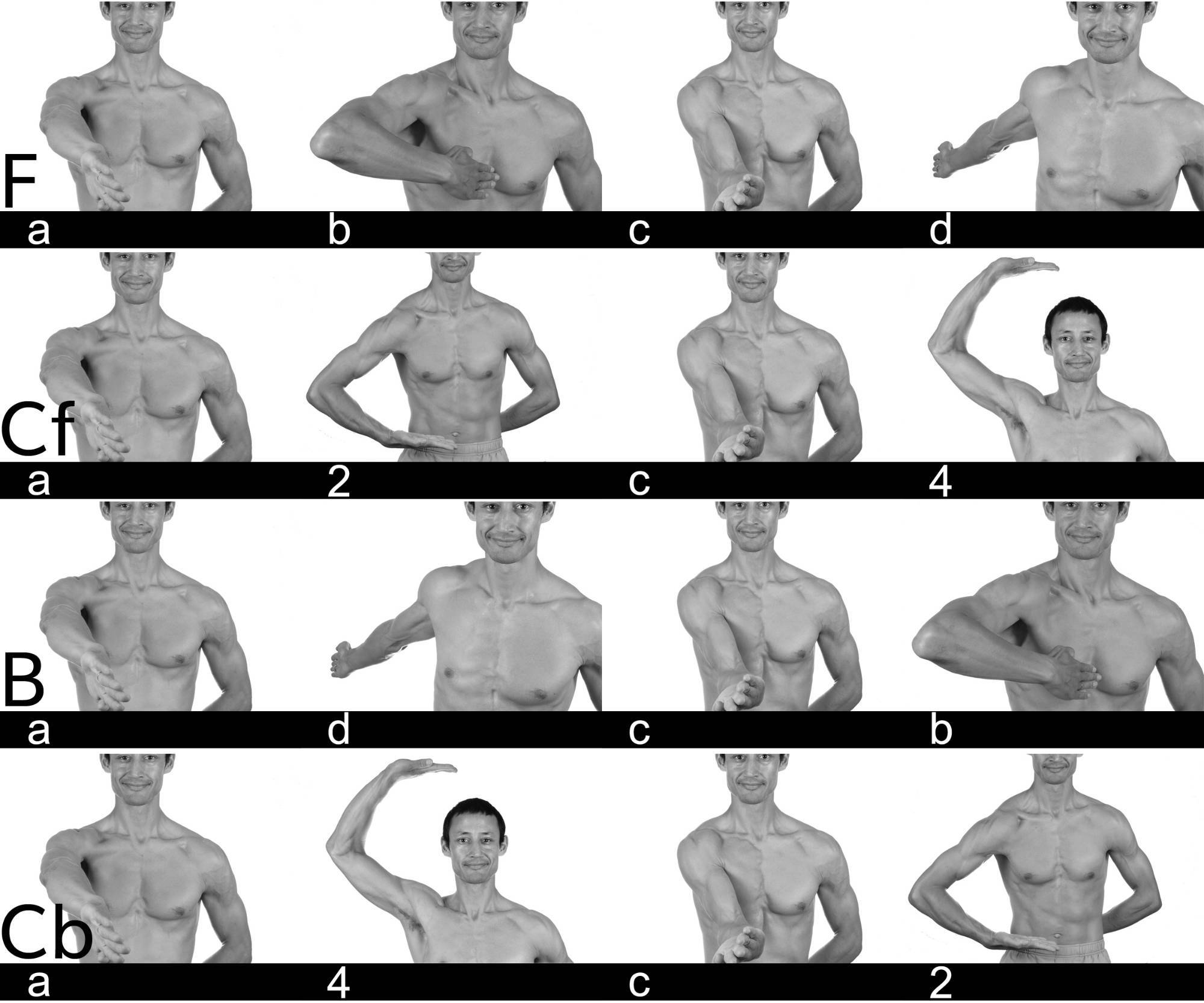 Cyclics beginning from position a (finals not shown).