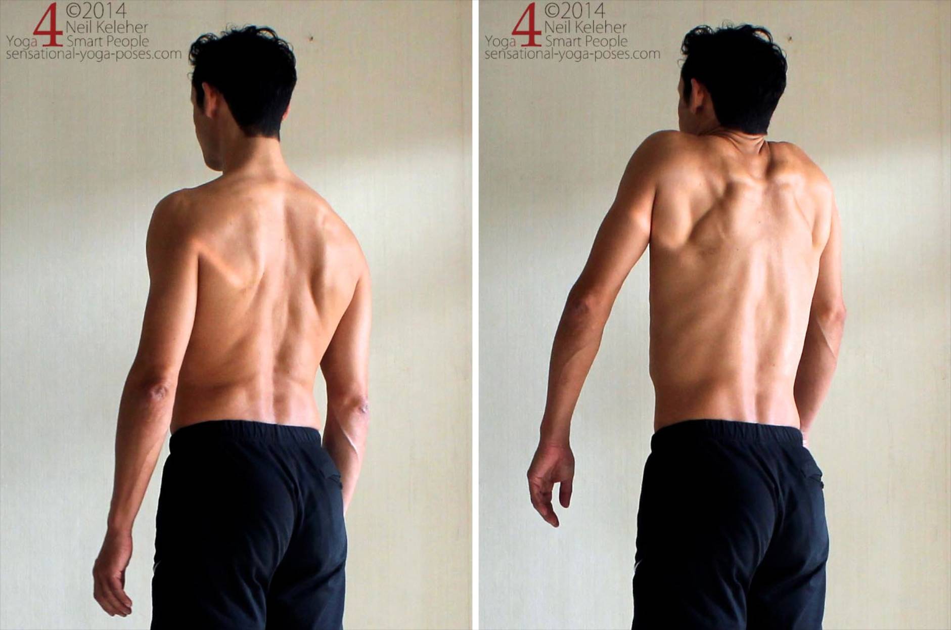 muscular back relaxed