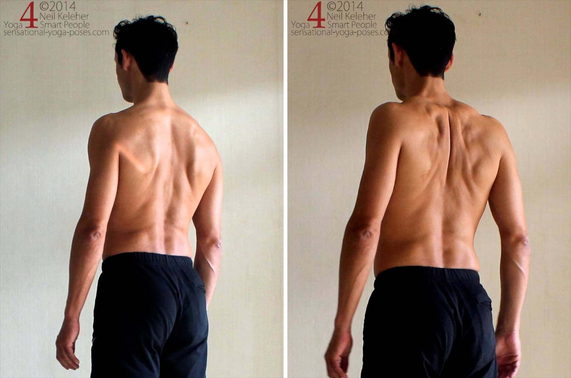 Retraction using Rhomboids: Starting with shoulders relaxed, move shoulder blades inwards and slightly upwards so that the rhomboids are activated. Relax and repeat.