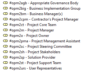 Figure A8.6 - Project management roles