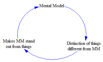 How mental models reinforce themselves