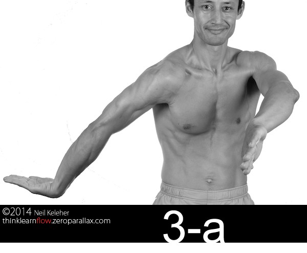 In this picture my arms show position 3-a. 