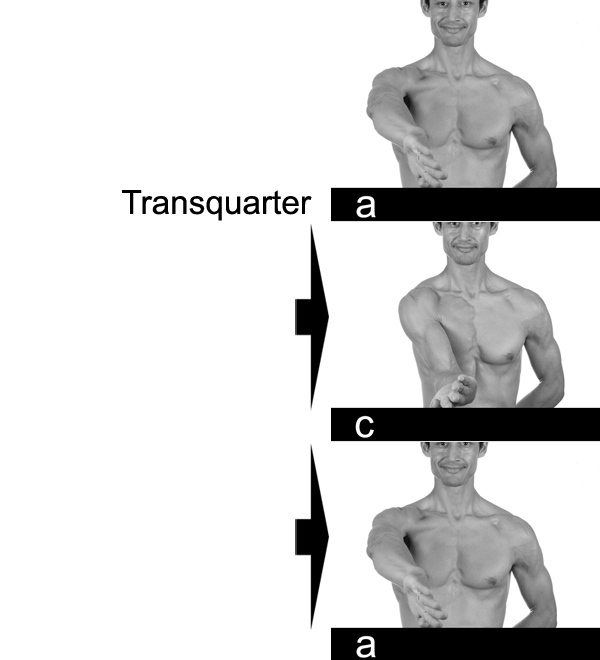 Transquarter between a and c. 