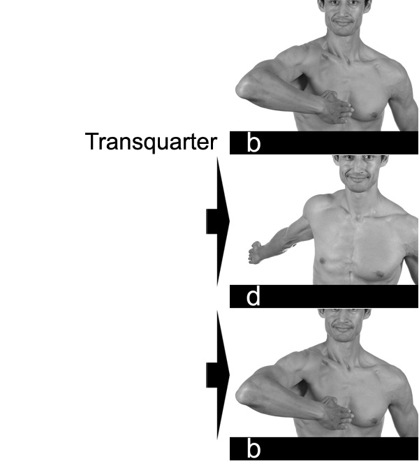 Transquarter between b and d. 