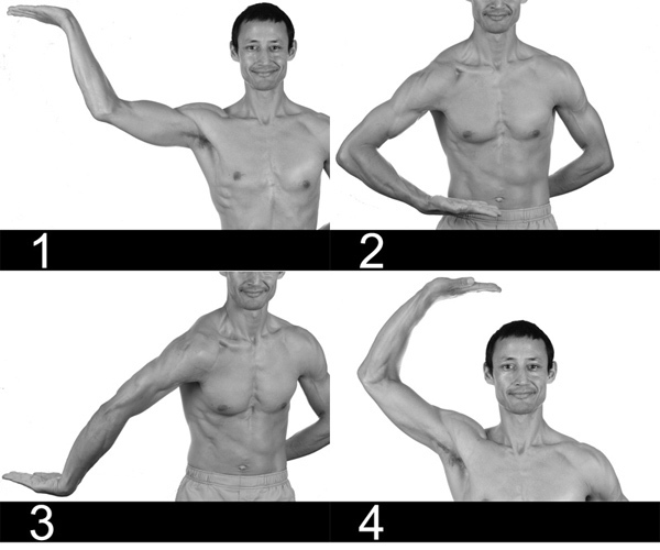 These pictures show the horizontal positions (1, 2, 3 and 4) using one arm.