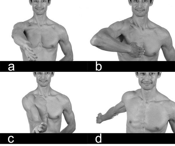 These pictures show the vertical positions (a, b, c and d) using the one hand.