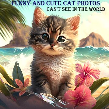 A cute kitten sitting on a beach with flowers around it and a caption saying 'Funny and cute cat photos can't see in the world'.