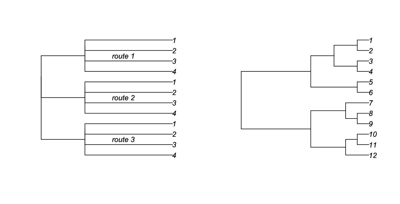 Fig. 3.1: On the left is a "phylogenetic tree" for the covariance matrix in the text with four stations within each of three routes. On the right is an ultrametric phylogeny produced from the `rtree()` function in `ape`.