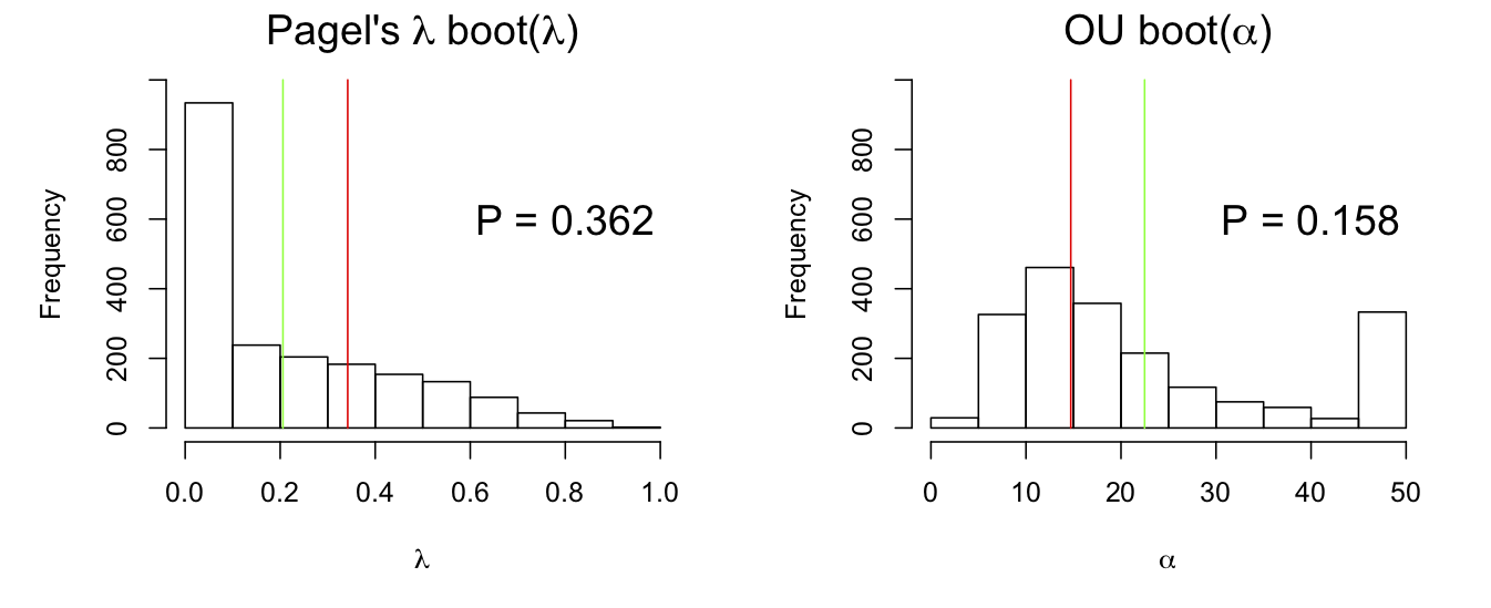 Fig. 3.5: Bootstrap distributions of phylogenetic signal (λ and α) calculated from `phylolm()` for a simulated dataset. The red lines give the value of the phylogenetic signal parameter used to bootstrap the data, and the green lines are the means of the estimates.