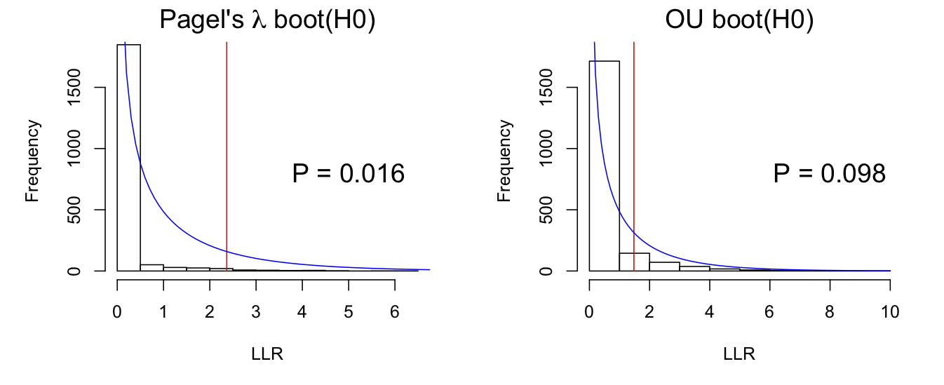 Fig. 3.6: Bootstrap distributions of 2`*`LLR for Pagel's λ and OU models under the null hypothesis that there is no phylogenetic signal. Simulated data were fit using `phylolm()`. A chi-square distribution with *df* = 1 is shown by the blue line.