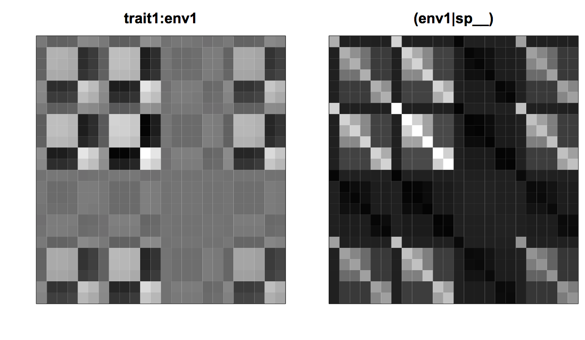 Fig. 4.10: Covariance matrices for the phylogenetic model for trait-by-environment interactions showing the effect of the fixed effect `trait1:env1` on the squared residuals and the covariance matrix for `(env1|spp__)`.