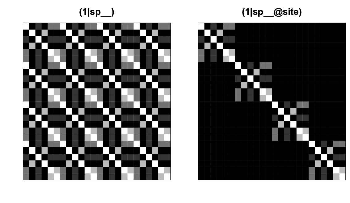 Fig. 4.4: The covariance matrices for the random effects `(1|sp__)` and `(1|sp__@site)` from `communityPGLMM.plot.re()` as would be produced with `show.image = T`.