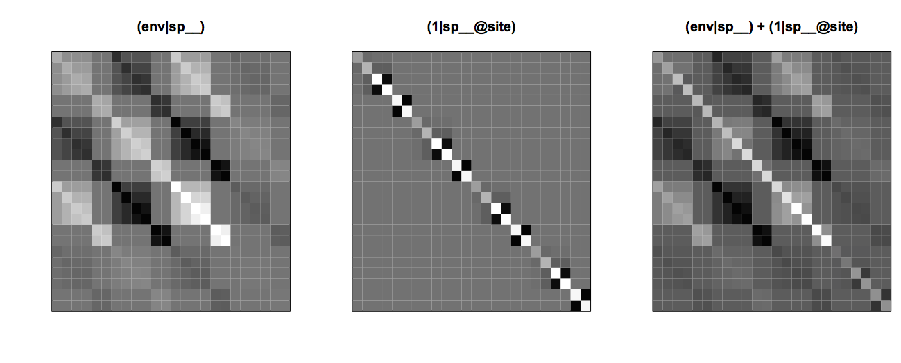 Fig. 4.8: Covariance matrices for a species-specific response to the environmental factor `(env|sp__)`, phylogenetic repulsion `(1|sp__@site)`, and the combined effects of the environmental factor and phylogenetic repulsion.