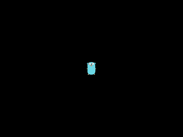 Chapter 1 result: the Go Gopher centered in a 640x480 window