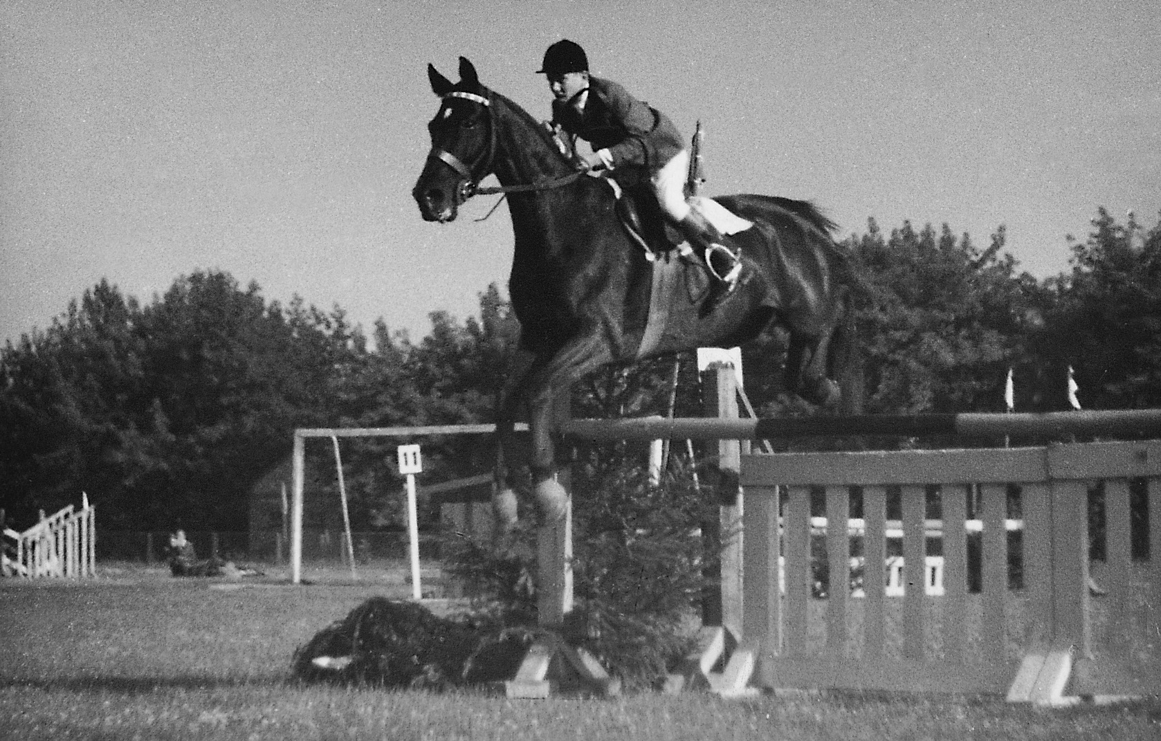 Andrzej Krzysztofik, Lili’s son, wins Polish juniors in horse jumping at age 12 (1960)